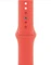 Apple Sportarmband Regular für Apple Watch 40mm zitruspink Vorschaubild