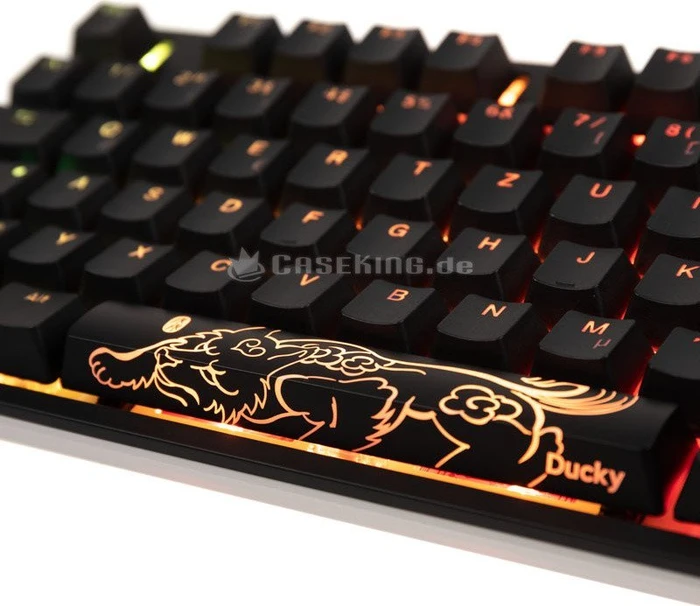 Ducky One 2 RGB PBT, LEDs RGB, schwarz, MX RGB BLACK, USB, US