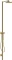 Hansgrohe Axor Starck Nature Duschsäule mit Kopfbrause 240 1jet polished gold optic Vorschaubild