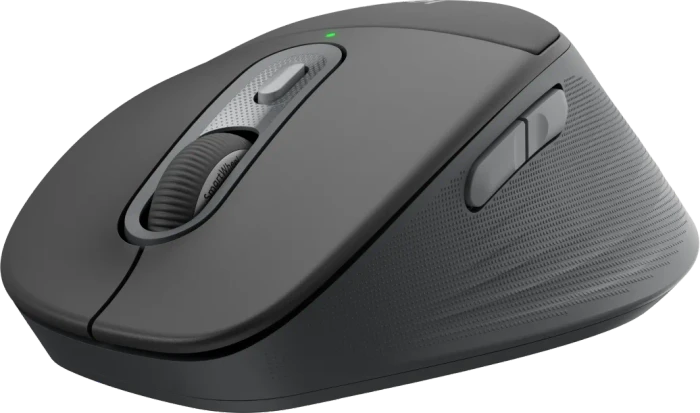 Logitech Signature Comfort M850 L for Business, Graphite, Logi Bolt, USB/Bluetooth