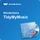 Wondershare TidyMyMusic für Windows, ESD (deutsch) (PC)