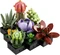 LEGO Botanicals - Sukkulenten Vorschaubild
