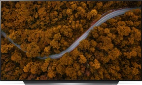 LG OLED65CX9LA