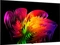 LG OLED evo AI W6 OLED83W69LA Vorschaubild