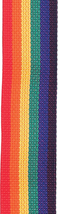 D'Addario Polypro Guitar Strap Rainbow