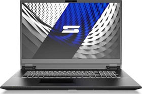 Schenker Compact 17-M19qrc, Core i7-9750H, 16GB RAM, 500GB SSD, GeForce GTX 1660 Ti, DE (10505187)