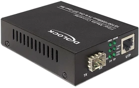 DeLOCK Medien Konverter, 100Base-T auf 100Base-FX (86220)