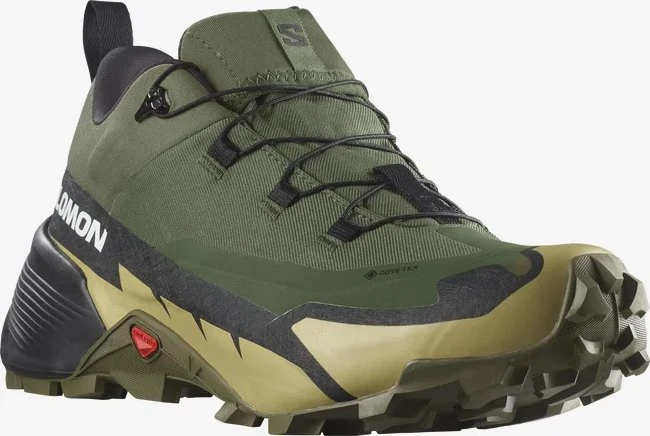Salomon Cross Hike 2 GTX olive night/black/gray green (Herren)