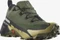 Salomon Cross Hike 2 GTX olive night/black/gray green (Herren) Vorschaubild