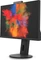 Fujitsu P-Line P2410 TS CAM, 23.8" Vorschaubild