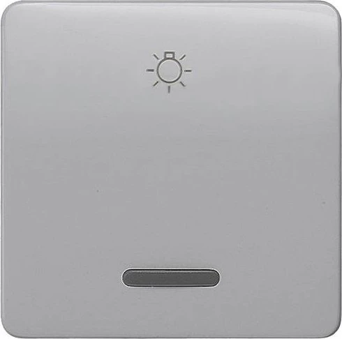 Siemens DELTA profil Wippe mit Fenster mit Symbol Licht für Taster, silber