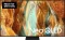 Samsung GQ75QN70F Vorschaubild