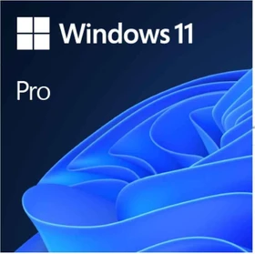 Microsoft Windows 11 Pro 64Bit, DSP/SB (englisch) (PC)