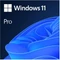 Microsoft Windows 11 Pro Vorschaubild