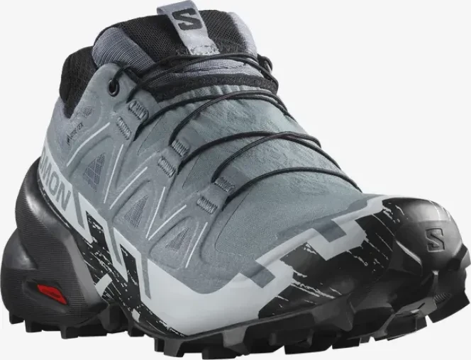 Salomon Speedcross 6 Gore-Tex flint stone/black/heather (Damen)