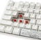 Ducky One 3 PBT, LEDs RGB, Pure White, MX RGB RED, USB, US Vorschaubild