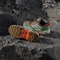 adidas Terrex AX4R cardboard/cloud white/semi impact orange (Junior) Vorschaubild