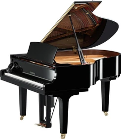 Yamaha DC2X ENST