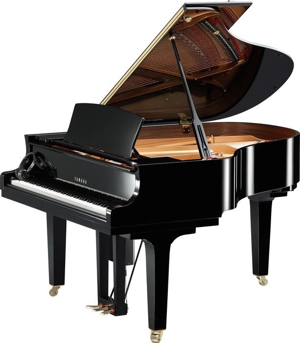 Yamaha DC2X ENST