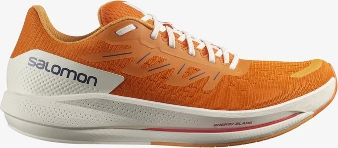 Salomon Spectur (Herren)