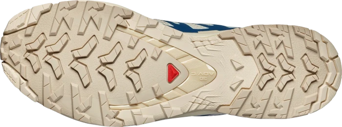 Salomon XA Pro 3D V9 Lifelong eucalyptus/iron (Herren)