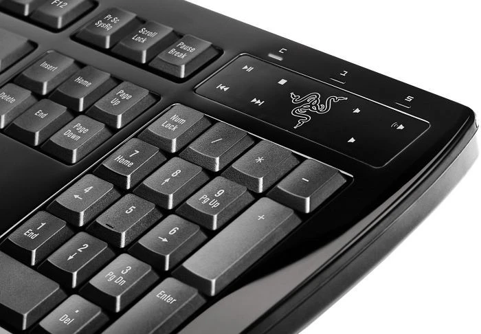 Razer Arctosa silber, USB, DE