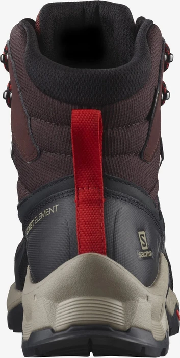 Salomon Quest Element GTX chocolate plum/madder brown/goji berry (Herren)
