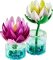 LEGO Botanicals - Seerosen Vorschaubild