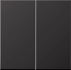 Jung Serie LS LB-Management Taster 2fach Aluminium lackiert, dark