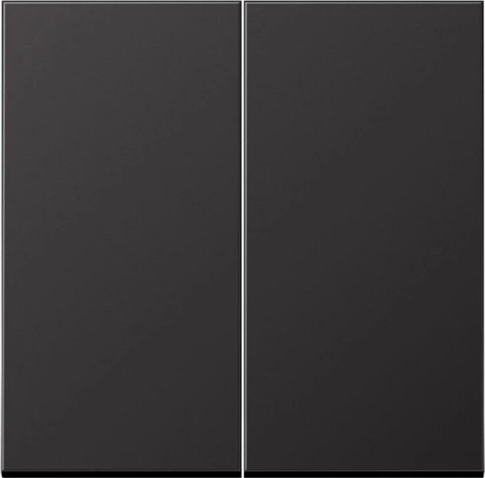 Jung Serie LS LB-Management Taster 2fach Aluminium lackiert, dark