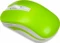 iBox Loriini Green grün/weiß, USB Vorschaubild