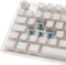 Ducky One 3, Aura White, TKL, LEDs RGB, MX RGB BLUE, USB, DE Vorschaubild