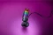 Razer Seiren V3 Chroma Vorschaubild