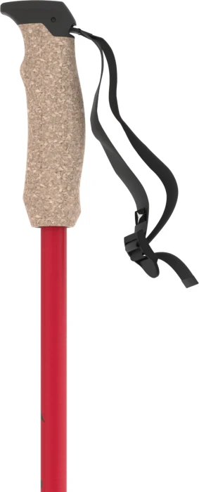 Atomic AMT Carbon Alpin Skistock rot (Modell 2024/2025)