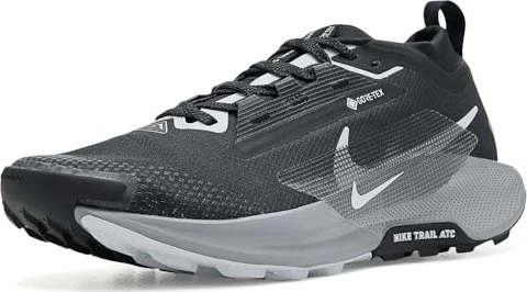 Nike Pegasus Trail 5 Gore-Tex (Herren)