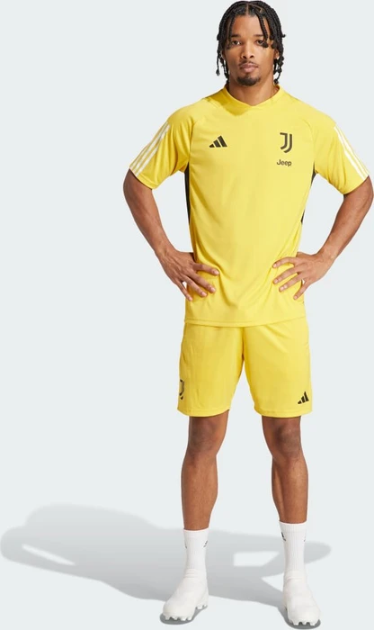 adidas Juventus Turin Tiro 23 Trainingstrikot bold gold (Herren)