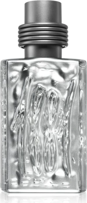 Cerruti 1881 Silver Pour Homme Eau de Toilette