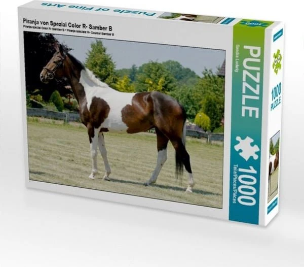 Calvendo Piranja von Spezial Color R- Samber B