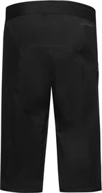 Gore Wear Lupra Gore-Tex Fahrradhose kurz schwarz (Herren)