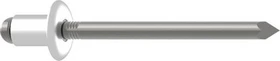 Gesipa A2 Edelstahl Flachrundkopf Blindniete 4.8x30mm, 100 Stück