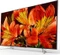 Sony FW-65BZ35F, 65" Vorschaubild