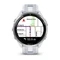 Garmin Forerunner 965 whitestone/powder grey Vorschaubild