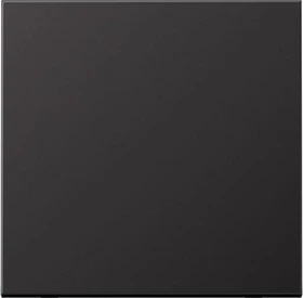 Jung Serie LS Wippe Metallausführung, dark