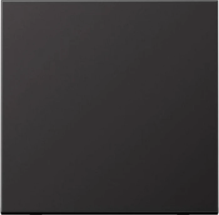 Jung Serie LS Wippe Metallausführung, dark