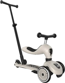 Scoot and Ride Highwaykick 1 Push and Go Kickboard ash