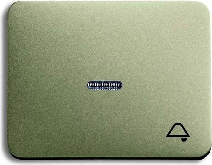 Busch-Jaeger Alpha Wippe mit Aufdruck mit kleiner transparenter Kalotte, palladium