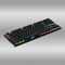 Hator Gravity X TKL Wired, LEDs RGB, Aurum Orange rev.2.0, USB, US Vorschaubild