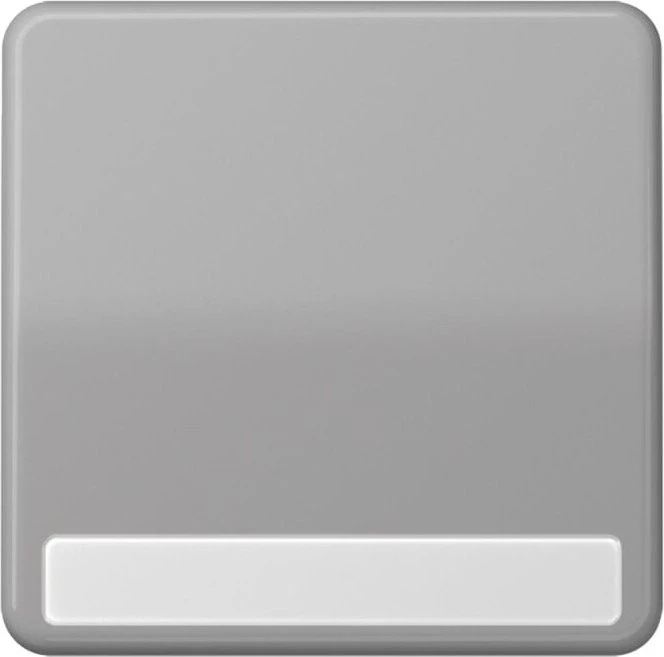 Jung Serie CD Wippe Duroplast mit Schriftfeld, grau
