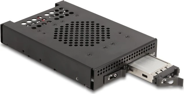 DeLOCK 3.5" Wechselrahmen 2x M.2 NVME SSD