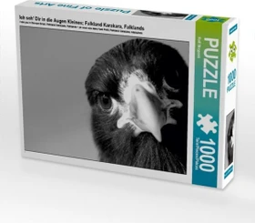 Calvendo Ich seh' Dir in die Augen Kleines; Falkland Karakara, Falklands